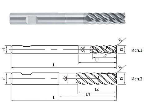 PP300-SPEED-3DN-06020